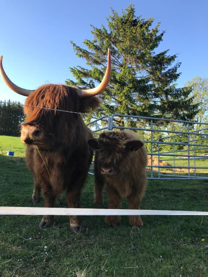 Bremsmaj Farm Holiday Kværs Kültér fotó