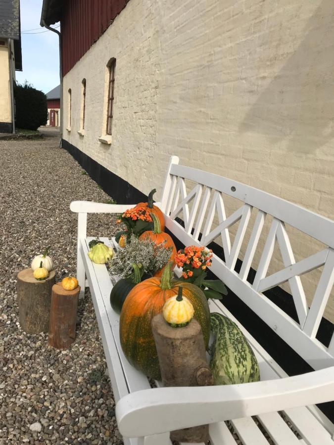 Bremsmaj Farm Holiday Kværs Kültér fotó